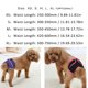 thumbnail image 5 of Mascotas Suministros Cómodo Cinta Mágica Breve Perros Peluche Perro perdiguero dorado Caminar P MABOTO Pantalón, 5 of 7