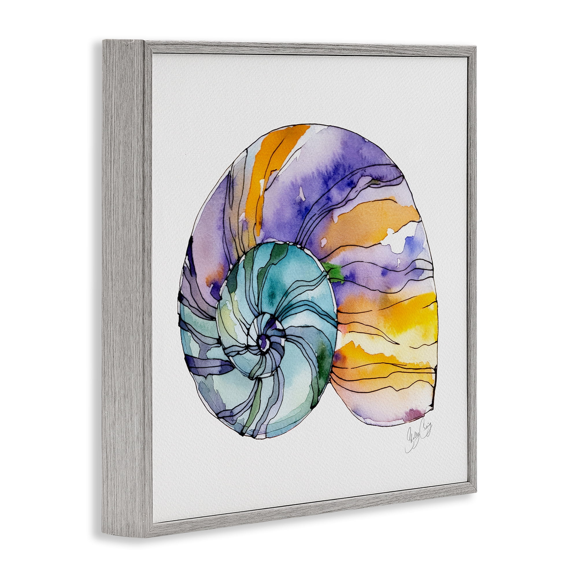 Stupell Industries Sunlit Striped Nautilus Gray Framed Giclee Art, design by Shelly Craig