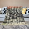 thumbnail image 2 of Patifu Cute Cat Warm Lightweight Blanket Soft Fleece Blankets Throw Blanket Living Room Sofa Decor All Seasons Gift Blanket 40x50in, 2 of 6