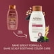 thumbnail image 2 of Champú Aveeno Blackberry Quinoa Protein, 355 ml, teñido, 2 of 8