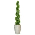 thumbnail image 1 of 67" Spiral Topiary in fiberstone planter, 1 of 5