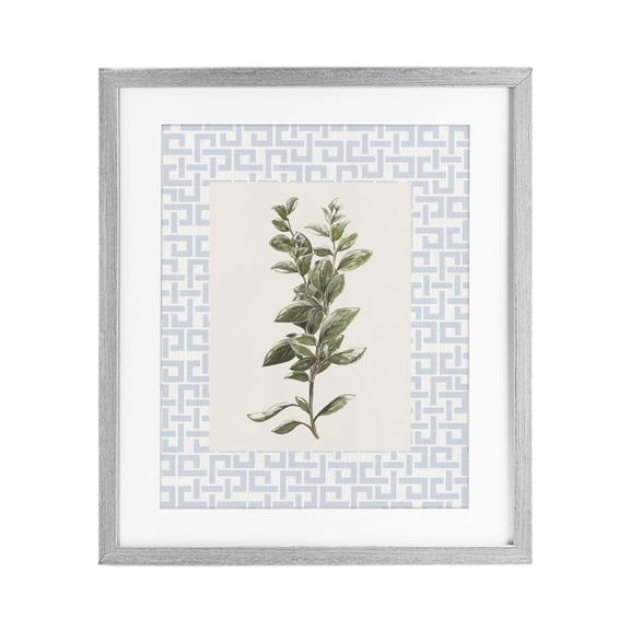 Stupell Industries Transitional Fresh Herb on Geometric Gray Framed Print Under Glass, 13 x 16, by Diannart