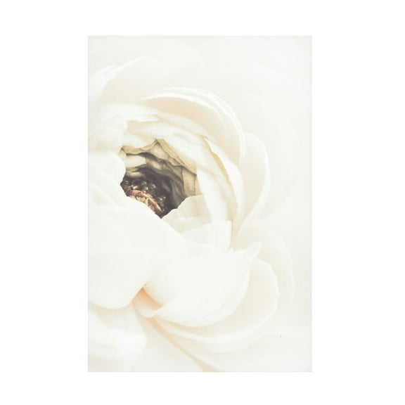 Pictufy Studio III 'White Flower 1' Canvas Art - 12 x 19 Inches