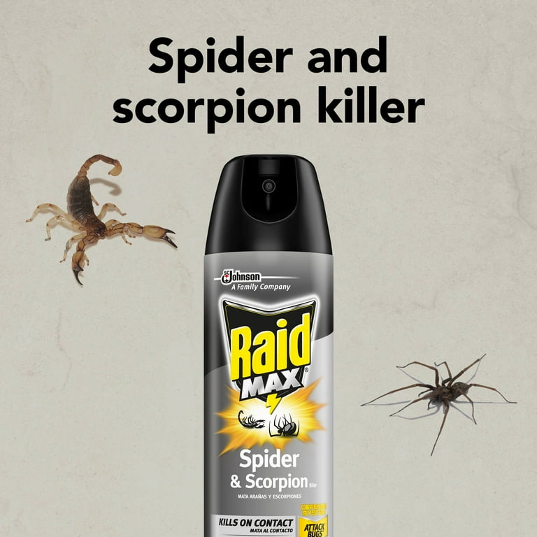 Raid Max Indoor Outdoor Spider Scorpion Killer Bug Spray 12 oz