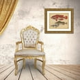 thumbnail image 3 of Strack, Friedrich 14x12 Gold Ornate Wood Framed with Double Matting Museum Art Print Titled - Species of Fish II, 3 of 4