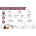 thumbnail image 6 of Vilano Springs 4-Piece Crochet Lace Hem Sheet Set by SouthShore Fine Linens, 6 of 9