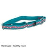 PetSafe Fido Finery Martingale Style Collar (1" Large, Teal My Heart)