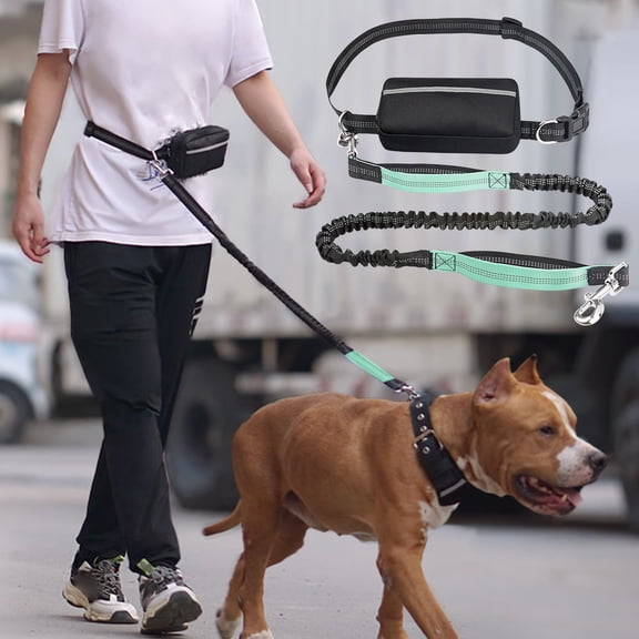 Cevemin Hands Free Dog Leash with Waist Pack - Shock-Absorbing Bungee Leash for Running and Walking, Adjustable Waist Belt with Zipper Pouch for Outdoor Dog Activities