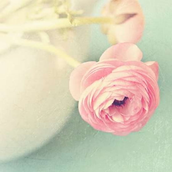 Vintage Pink Peony