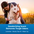 thumbnail image 3 of Champú desodorizante PetAg Fresh 'n Clean Good Sport 530 ml Dogs, 3 of 5