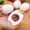 Vert, variante sur Trancheurs d'Oeufs pour Oeufs Durs, Ouvre-Coquilles d'Oeufs Coupe-Oeufs, Séparateur d'Oeufs, Coupe-Oeufs Ouvre-Bouteille Bouillie Couteau Utilitaire de Cuisine Outil Coquilles
