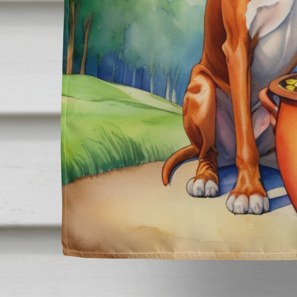 Red Redbone Coonhound St Patrick's Day House Flag 28 in x 40 in