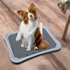 thumbnail image 2 of Bandeja de entrenamiento para gatos y mascotas, orinal fácil de limpiar, bandeja de arena para perros Negro, 2 of 9