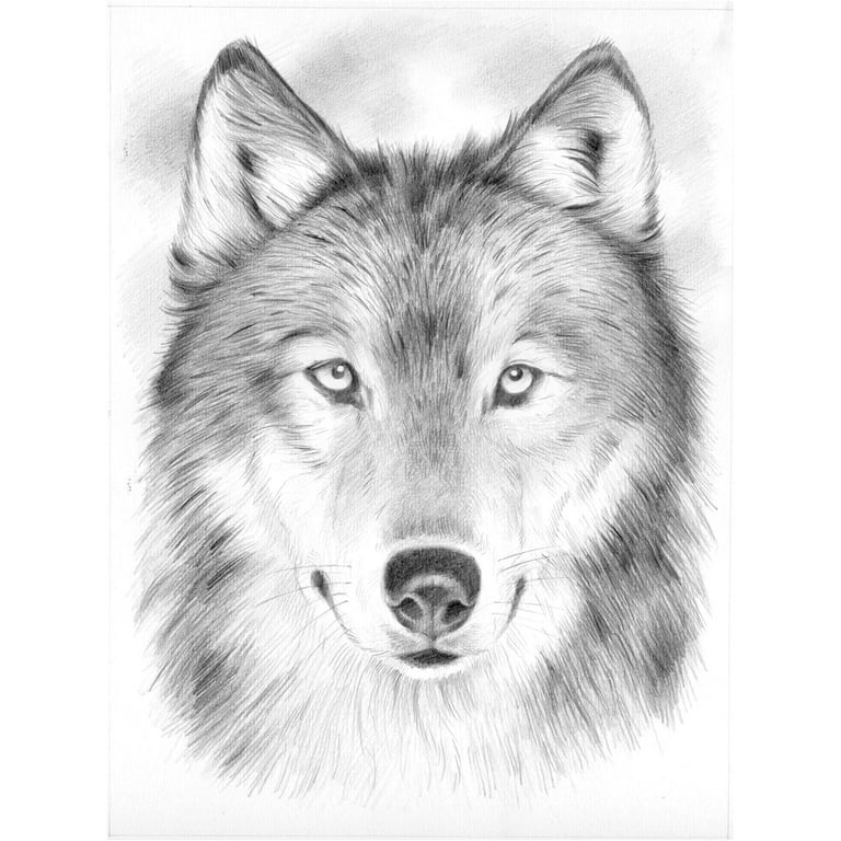 Sketching By Number Kit, 8