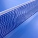 thumbnail image 2 of Red Ping Pong Tenis Mesa Alta Visibilidad para Interiores Y Exteriores () Azul, 2 of 9