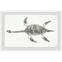 Marmont Hill Elasmosaurus Skeleton Framed Wall Art