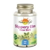 Nature's Life Slippery Elm Inner Bark 760 mg | Healthy Immune Function and Gastrointestinal Support | Non-GMO & Lab Verified | 100 Vegetarian Capsules