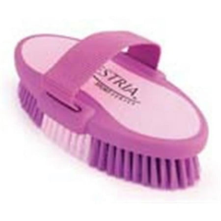 UPC: 0851799217021 | 7.5 Inch Large Equestrian Sport Oval Body Brush – Purple – 2170-2