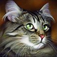 thumbnail image 1 of 5D DIY Diamond Painting Kits Full Round Drill Animals Mosaic Home Decoration Set Likrtyny Arte deco, 1 of 9