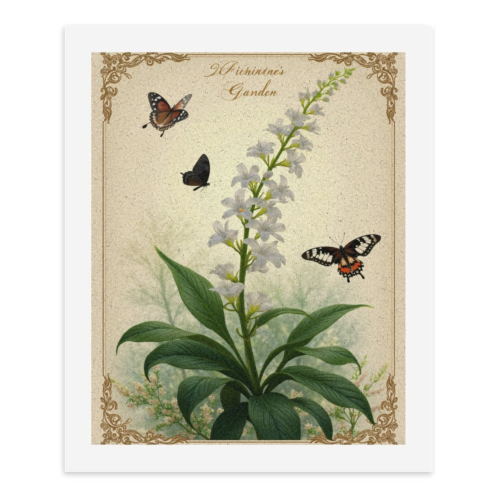 Paint By Numbers Kit for Adults Beginner - DIY Butterflies White Flowers Vintage Art Canvas Painting Kits for Adults, Frameless Paint By Number for Adults for Home Wall Decor 16x20 Inch