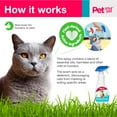 PET YOUR PET No Pee No Poop Cat Potty Training Spray, 16 Fl Oz Non