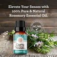 thumbnail image 5 of GuruNanda Rosemary Essential Oil - 100% Pure & Natural  for Aromatherapy and Diffuser - 15ml, 5 of 13
