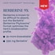 thumbnail image 4 of Suplemento SOLARAY (fitosoma de berberina, 550 mg, 30 cápsulas vegetales), 4 of 6