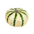 thumbnail image 3 of Utilería de calabaza Artificial, verdura de imitación, adorno multiusos portátil de tamaño pequeño, simulación para el hogar, reunión de Halloween y Verde y amarillo, 3 of 8
