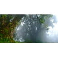 thumbnail image 2 of Schemel, Bertram 24x14 Black Ornate Wood Framed with Double Matting Museum Art Print Titled - Inside The Clouds, 2 of 4