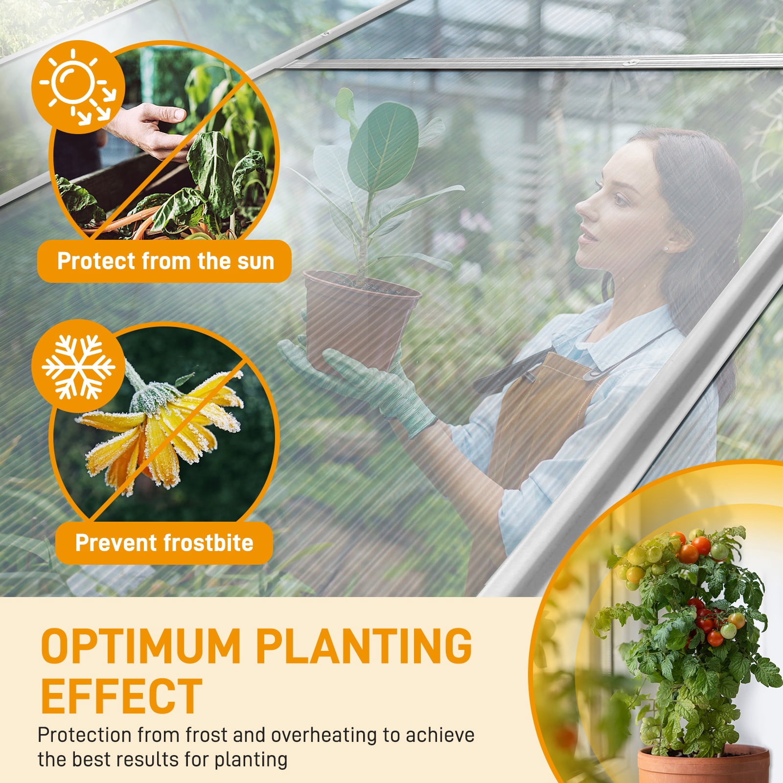 Seizeen 6x10FT Outdoor Greenhouse, Walk-in Green House Polycarbonate, Aluminium Frame Plant House for Gardening, with Adjustable Vent, 8 Supports, 62’’H Sliding Door, Silver