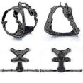thumbnail image 2 of Rabbitgoo Dog Harness, No-pull Pet Harness With 2 Leash Clips, Adjustable Soft Padded Dog Vest, 2 of 5