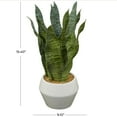 thumbnail image 3 of DecMode 15" Artificial Snake Plant in Realistic Leaves and White Porcelain Pot, 3 of 7