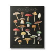 Stupell Industries Dark Informative Mushroom Chart Landscape Painting Gallery Wrapped Canvas Print Wall Art