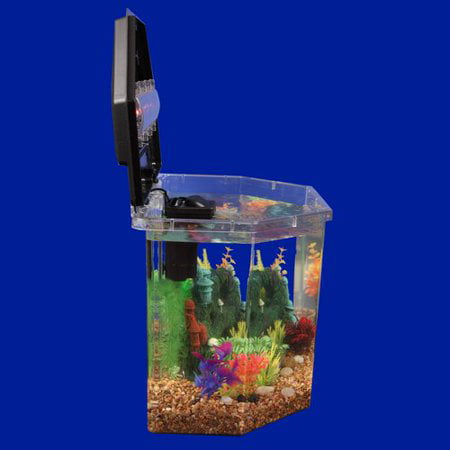 New: A brand-new, a 10 gallon fish tank, or 20 gallon fish tank, you will.....