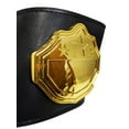thumbnail image 7 of Fantasy Football Champion Belt Spike Black Gold Championship 1st Place Trophy, 7 of 7