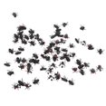 thumbnail image 3 of 100Pcs Fake Flies Realistic Tricky Props Plastic Halloween Party Simulated Insect Fly Prank Toys, 3 of 10