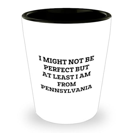 

Pennsylvania Proud Funny Shot Glass Gifts Inspired by I Might Not Be Perfect But At Least I Am From Pennsylvania - Unique Christmas Unique Gifts for Friends and Family from Pennsylvania