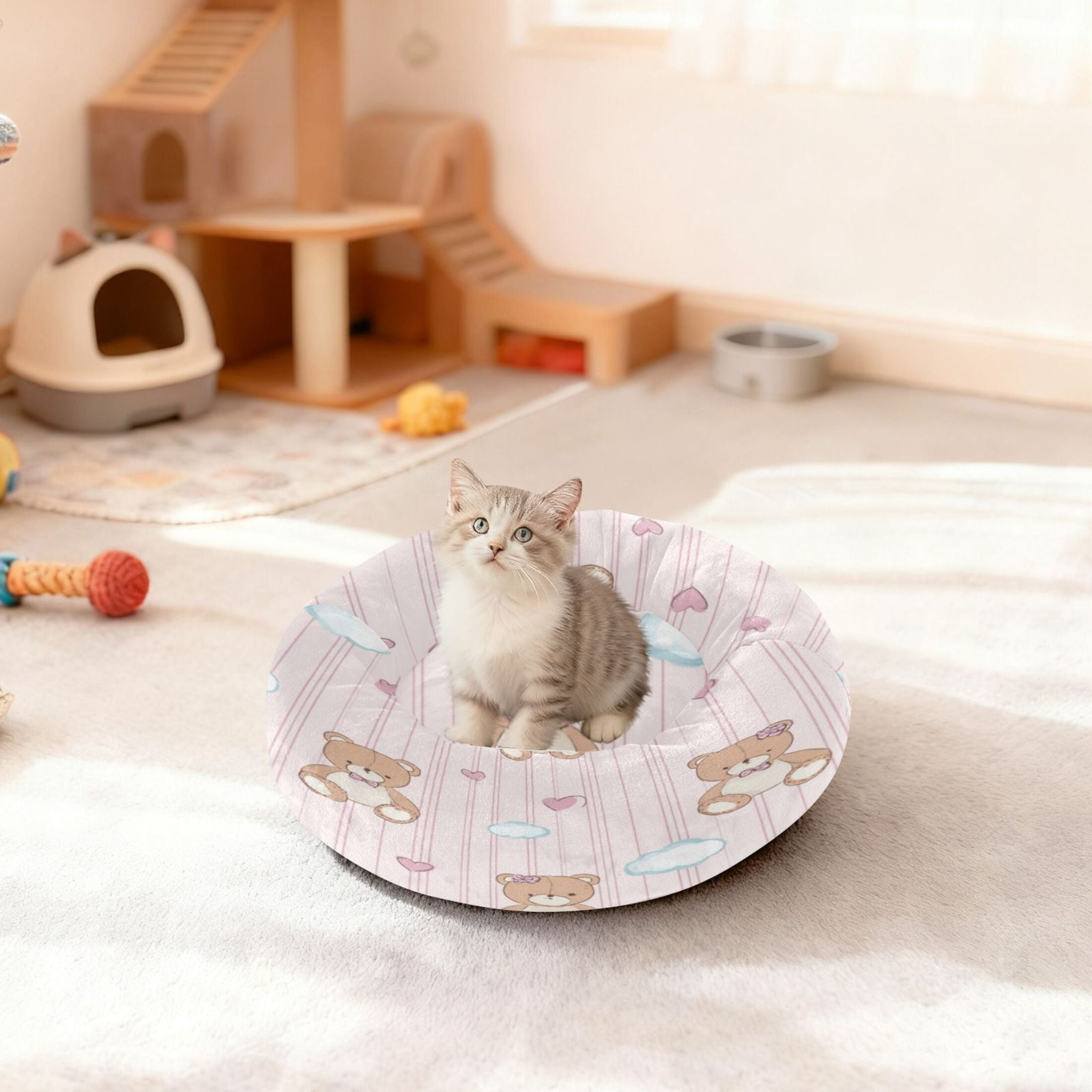 Iauyy Pet Couch Donut Cat Bed for Indoor Cats/Small Dogs Washable & Machine with Non-slip Bottom Calming Cat Furniture, Cute Teddy Bear (XS)