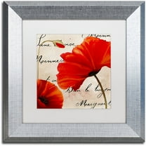 Trademark Fine Art "Coquelicots Rouge II" Canvas Art by Color Bakery White Matte, Silver Frame