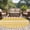 Lemon Yellow Light Yellow, variant on Area Rug for Living Room, Grey White Boho Non-Slip Indoor Large Carpet for Bedroom/Dining Room, Vintage Ethnic Tribe Abstract Art Washable Low-Profile Rectangle Floor Mat Runner Rugs - 2.7 x 5 Ft