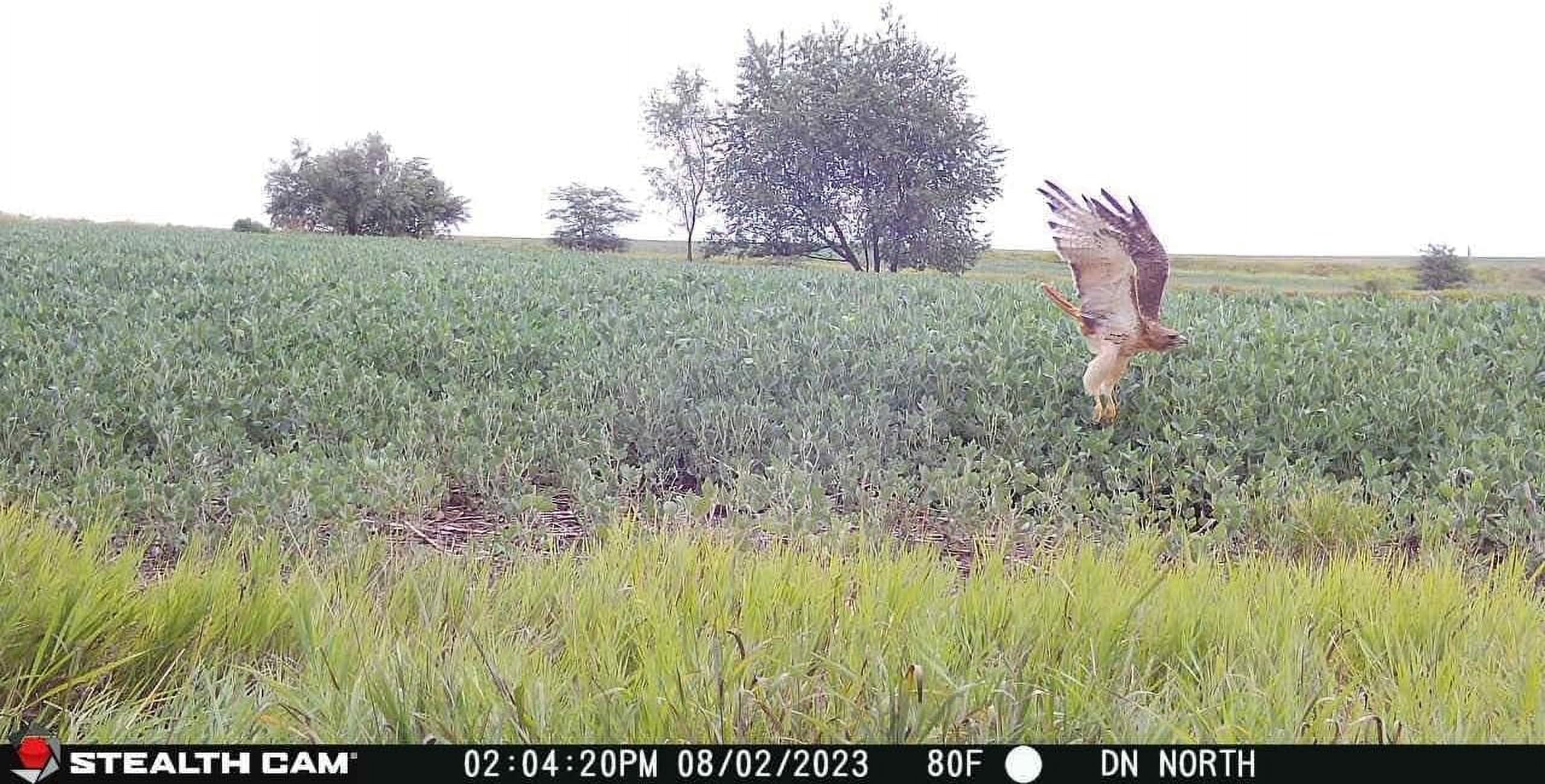 Stealth Cam Fusion X-Pro Cellular Trail Camera with 36MP High Resolution Imaging