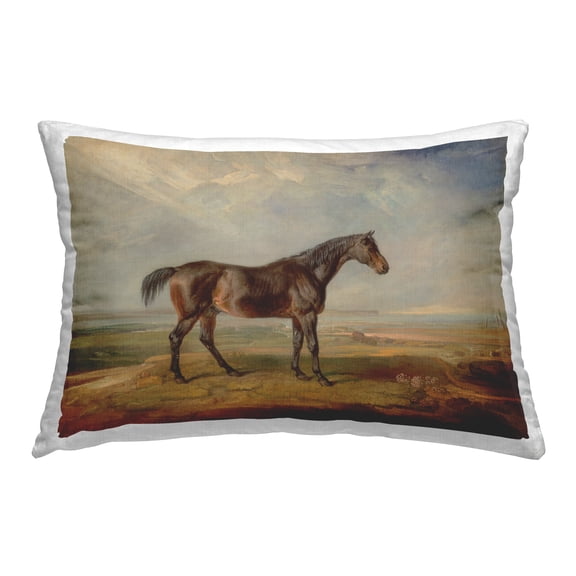 Stupell Industries Stoic Foal Desert View Decorative Printed Throw Pillow Design by James Ward .
