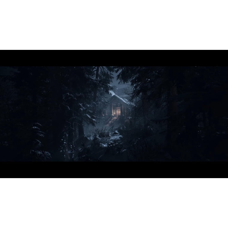 Until Dawn, PlayStation 5 photo 7