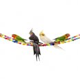 thumbnail image 3 of AAOMASSR 1pc Parrot Pet Supplies Bird Toy Rotating Ladder Climbing Ladder, 3 of 6