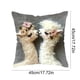 thumbnail image 3 of Cojín decorativo con estampado animal de 45 x 45 cm | Funda de poliéster suave para sofá, dormitorio y salón | Diseño multicolor, 3 of 6