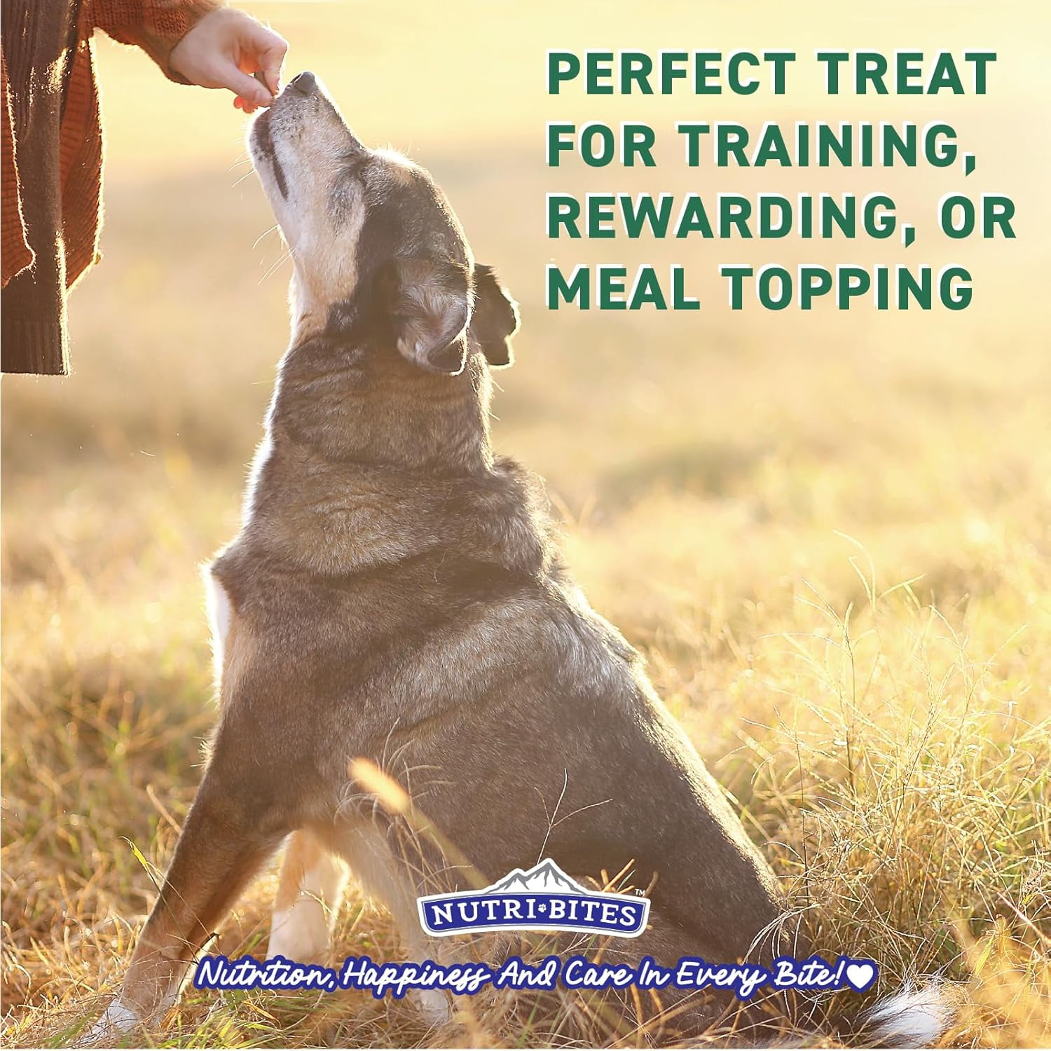 Nutri Bites Freeze Dried Chicken Dog & Cat Treat 4 oz | Healthy Pet Food Topper | All Natural, High Protein