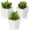 3pack - White Ceramic 2, variant on Succulents Plants Artificial 4Pcs Small Fake Succulents in Pots Faux Plastic Potted Plants with White Ceramic Pot for Home Decor Office Desk Bathroom Shelf Indoor & Outdoor Decoration