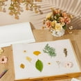 thumbnail image 5 of 24 Sheets Blotting Paper for Flower Press 14.92x11.42Inch Flower Press Paper Highly Absorbent and Reusable Blotter Paper for Flower Press Herbarium Paper Craft, 5 of 5