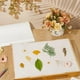 thumbnail image 5 of 24 hojas de papel secante para prensa de flores (38 x 29 cm). Papel secante reutilizable de alta absorción para prensa de flores, herbario y manualidades., 5 of 6
