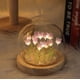 thumbnail image 3 of Lámpara LOGAZOO Tulip Night Light con cúpula de cristal de 10 cm, 3 of 7